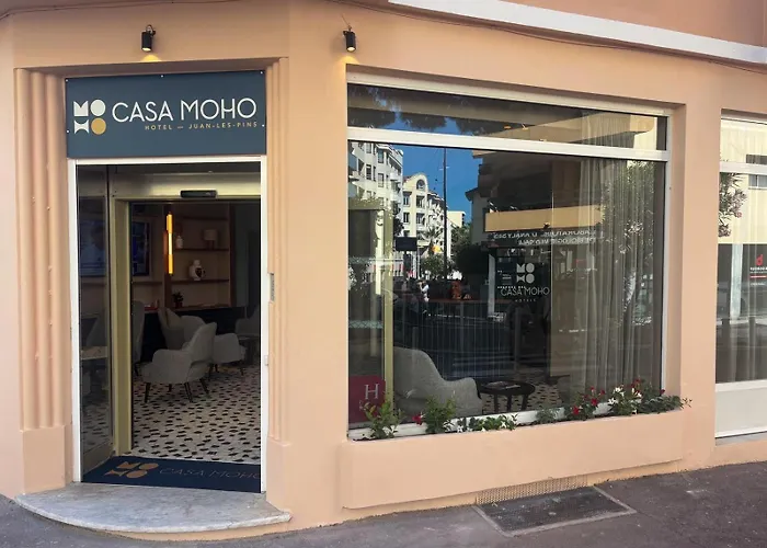 Casa Moho -